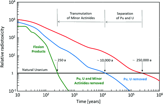 Graf, der viser giftigheden ved atomaffald over tid